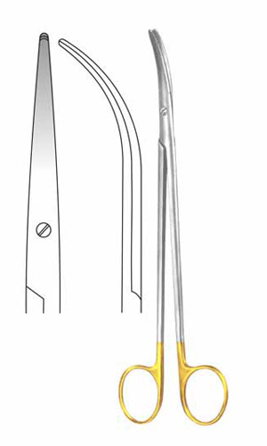 Dissecting Scissors